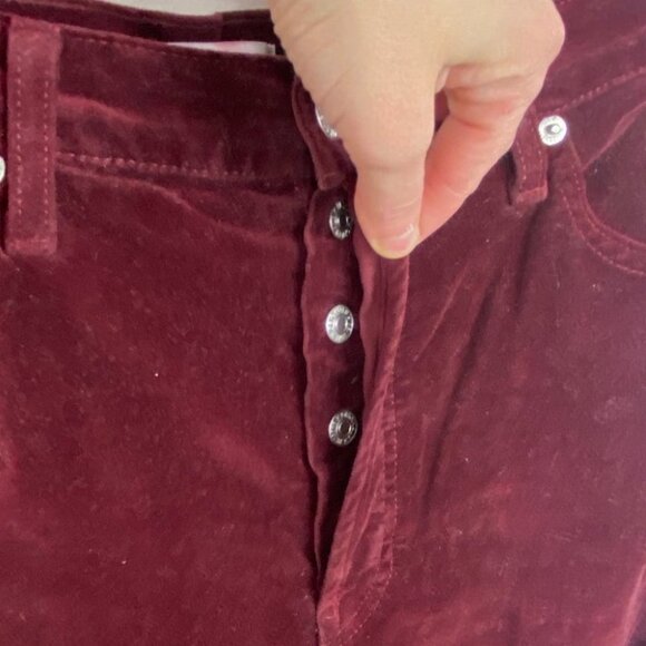 RE/DONE Burgundy Velvet Skinny Pants Button Fly Pants Size 29‎ Slim Velour Slim - Picture 4 of 12